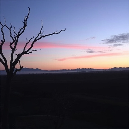 sonoita az wine