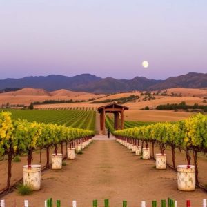 sonoita-wine-tours-640x480-42579268.jpeg