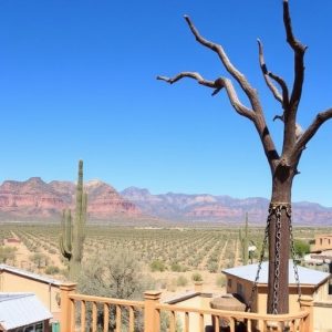 southern-az-wineries-640x480-49456665.jpeg
