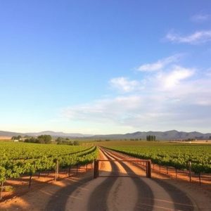 sonoita-wine-trail-640x480-20318416.jpeg