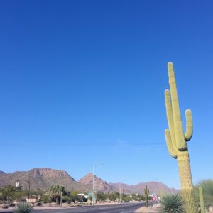 tucson-arizona-640x480-43830305.jpeg