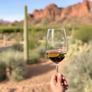 wine-tours-southern-arizona-640x480-72998643.jpeg