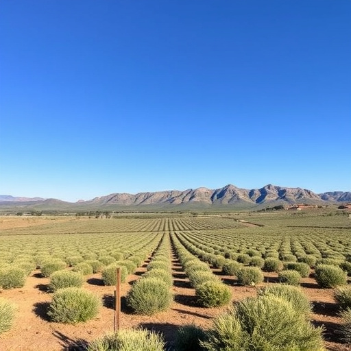 wineries near sonoita az
