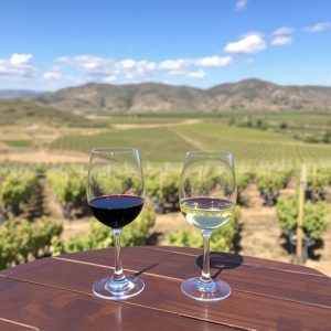 sonoita-wine-tasting-640x480-6285365.jpeg