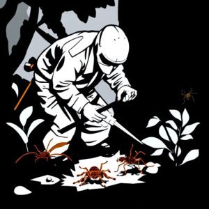 pest-control-640x480-78216793.jpeg