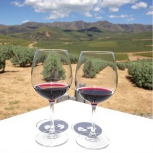 sonoita-wine-tasting-640x480-33467008.jpeg
