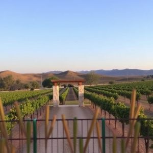 sonoita-wine-trail-640x480-43123005.jpeg