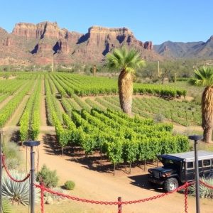 southern-arizona-wineries-640x480-82776126.jpeg