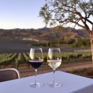 wine-tour-sonoita-640x480-98100635.jpeg