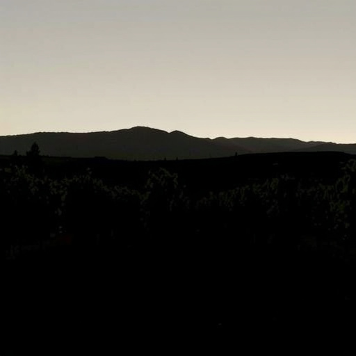wine-tours-sonoita-640x480-67336243.jpeg
