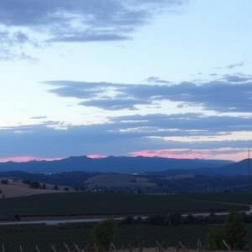 wine-tours-sonoita-640x480-9520063.jpeg