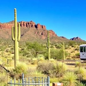 wine-tours-southern-arizona-640x480-26980762.jpeg