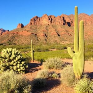 wine-tours-southern-arizona-640x480-61981689.jpeg