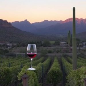 wine-tours-southern-arizona-640x480-71088812.jpeg