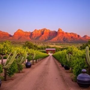 wineries-in-southern-arizona-640x480-98890490.jpeg