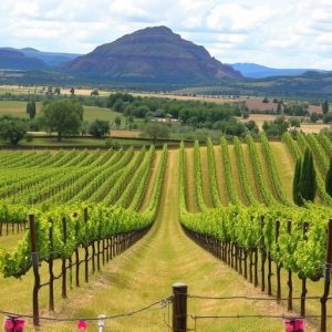 wineries-near-sonoita-az-640x480-4358528.jpeg
