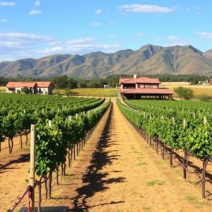 winery-sonoita-az-640x480-52788968.jpeg