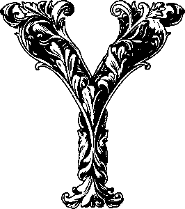 npressfetimg-20.png