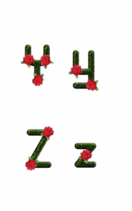 npressfetimg-5.png
