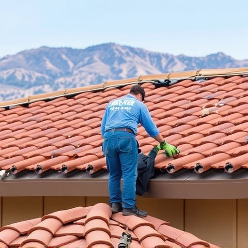 Roof Installation Process Oro Valley