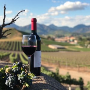 sonoita-az-wine-640x480-22509783.jpeg