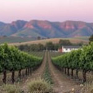 sonoita-az-wine-640x480-6687106.jpeg