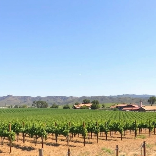 sonoita wine country