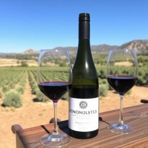 sonoita-wine-tasting-640x480-99272028.jpeg