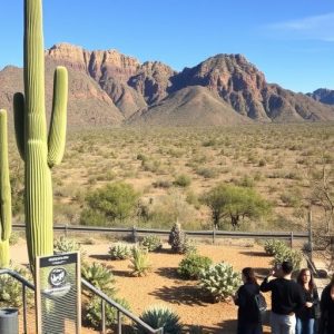 wine-tours-southern-arizona-640x480-37945254.jpeg
