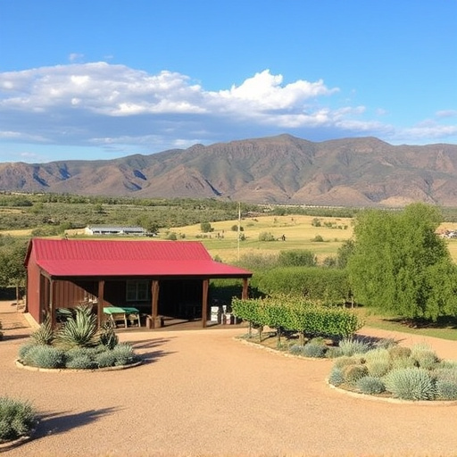 winery sonoita az