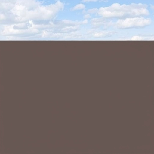 Best Roofing Contractors in Oro Valley