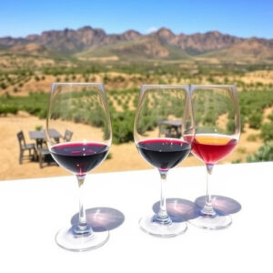 sonoita-az-wine-tasting-640x480-70022480.jpeg