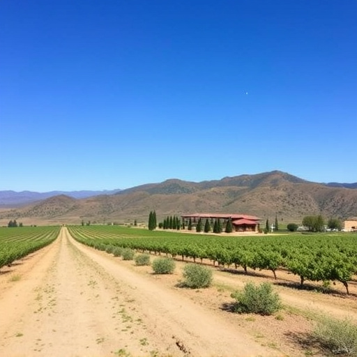 sonoita-wine-tasting-tours-640x480-31325499.jpeg