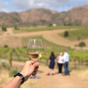 sonoita-wine-tours-640x480-31187859.jpeg