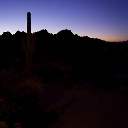 southern arizona wine tours