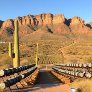 Biking Through Southern Arizona’s Winery Wonderland