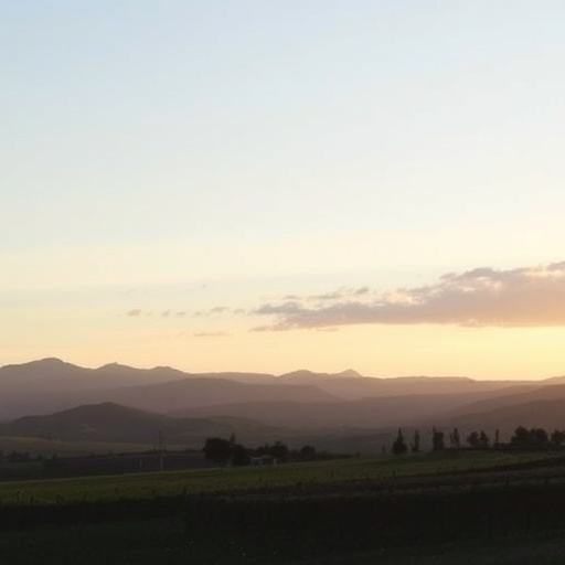 wine-tour-sonoita-640x480-94014405.jpeg