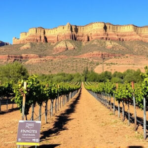 wineries-near-sonoita-az-640x480-96999755.jpeg