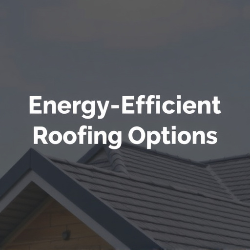 Energy-Efficient Roofing Options