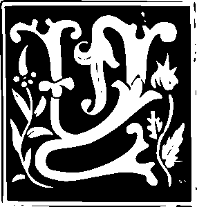 npressfetimg-120.png