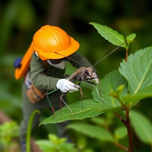 pest control