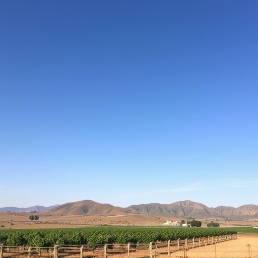 sonoita wine country