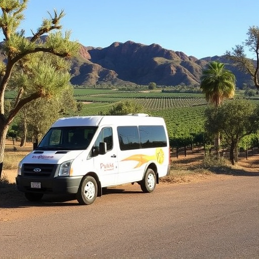 sonoita-wine-tour-shuttle-640x480-54474192.jpeg