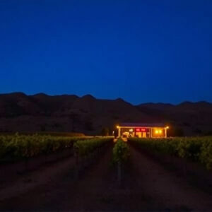 sonoita-wine-tours-640x480-32925427.jpeg
