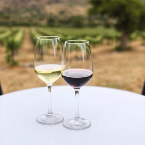 sonoita-wine-tours-640x480-65215433.jpeg