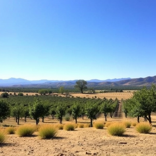 wine tasting sonoita