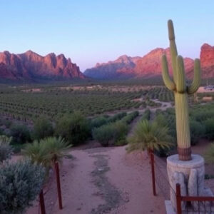 wine-tours-southern-arizona-640x480-68152147.jpeg