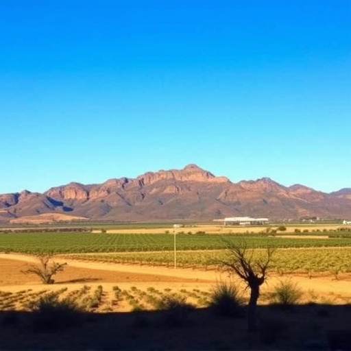 wineries near sonoita az