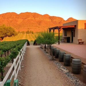 winery-sonoita-az-640x480-58916371.jpeg