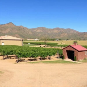 winery-sonoita-az-640x480-99695015.jpeg